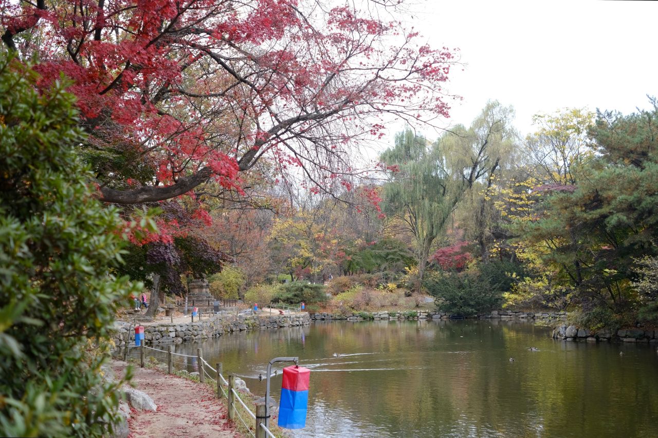 Chundangji pond and autumn gardens at Changgyeonggung Palace