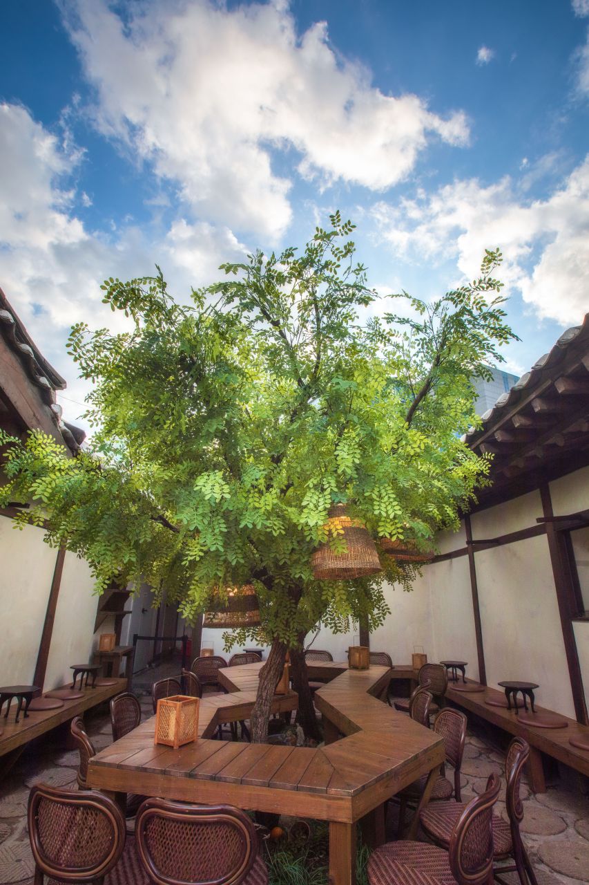 A cafe inside a restored hanok in Ikseon-dong Hanok Village, Seoul