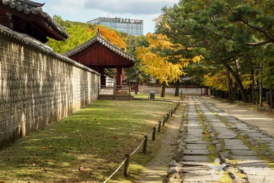 Jongmyo Shrine wooded spirit path in autumn, Seoul