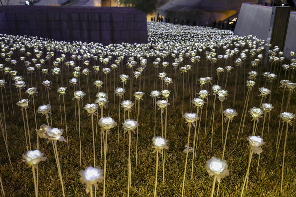 LED Rose Garden glowing at Dongdaemun Design Plaza at dusk
