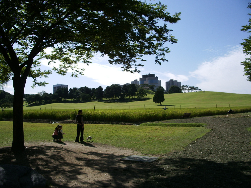 Green ramparts of Mongchontoseong fortress at Olympic Park Seoul