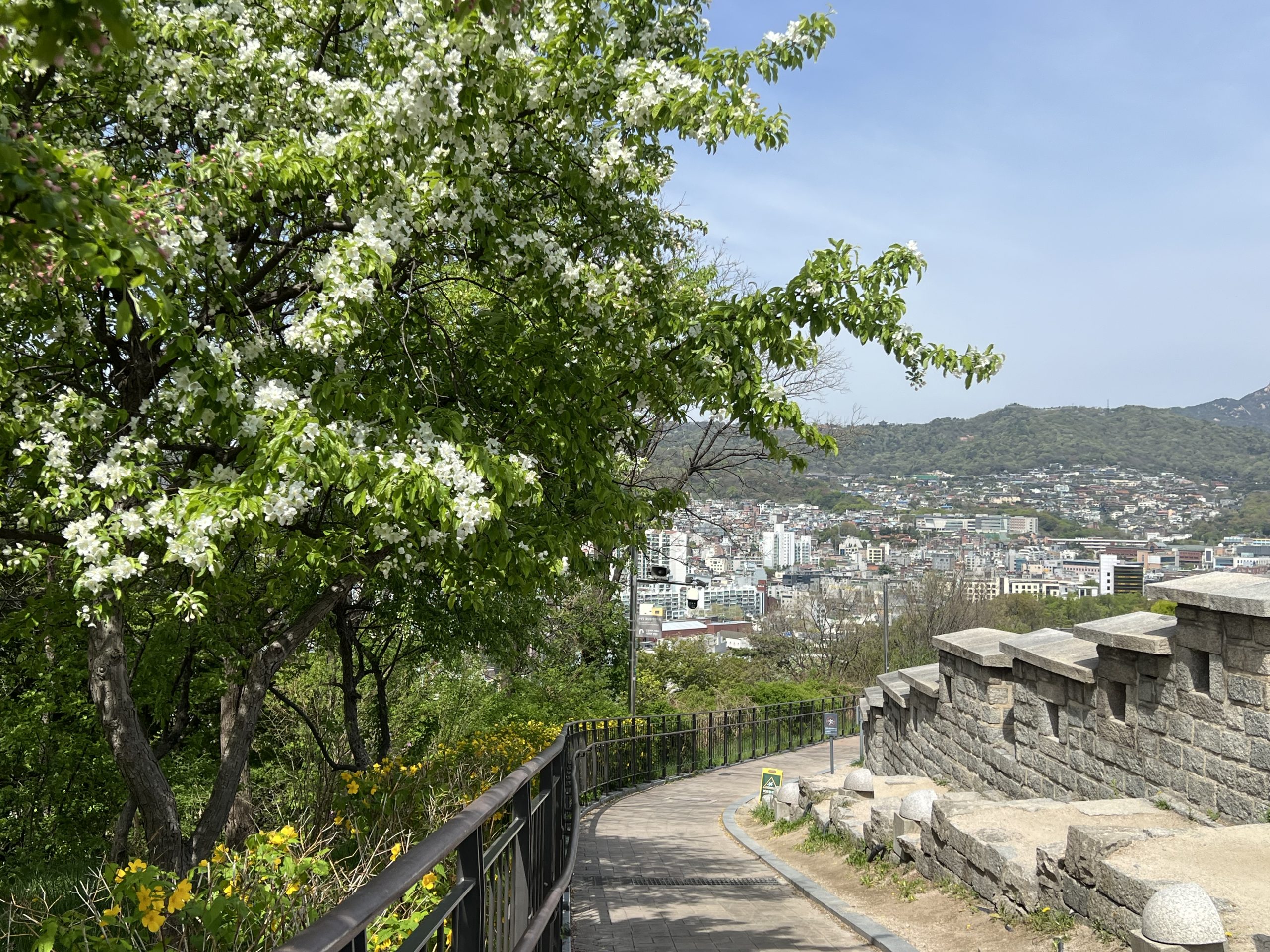 The Seoul City Wall and ridge path at Naksan Park on a clear day