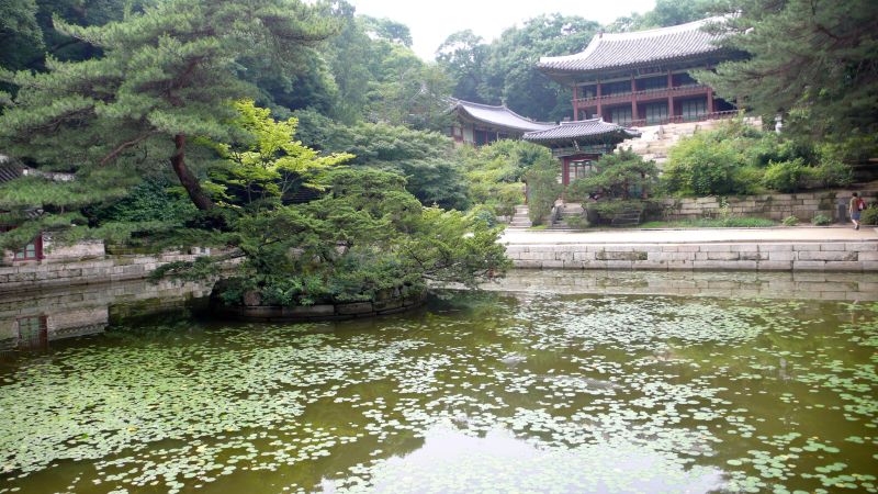 Buyongji lotus pond in Changdeokgung Secret Garden (Huwon)