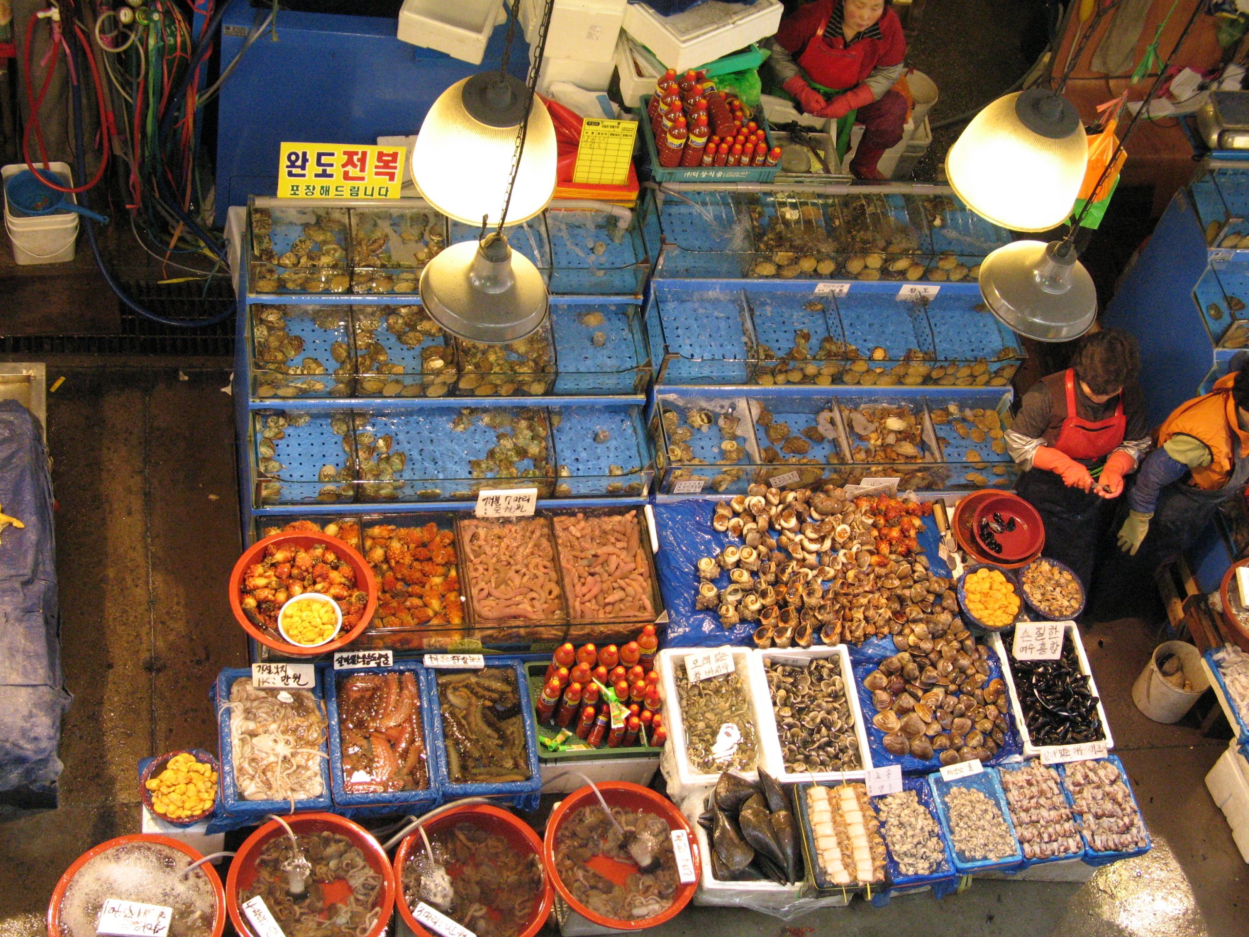 Abalone, sea snails and shellfish on display at Noryangjin Fish Market