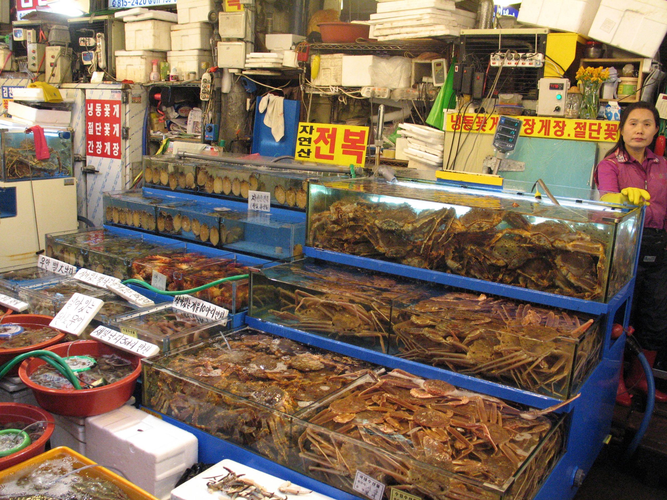 Live king crab in tanks at a Noryangjin Fish Market stall