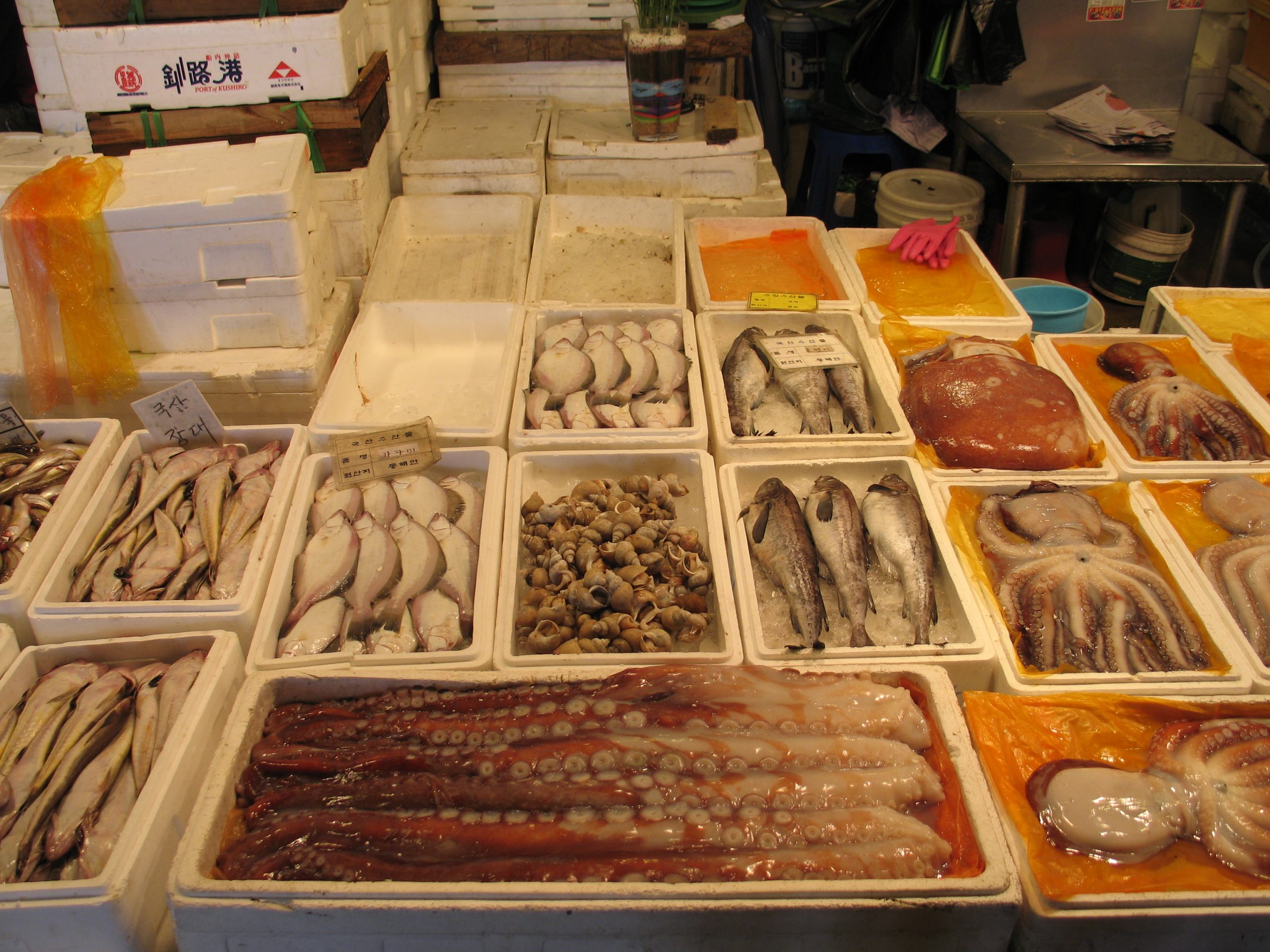 Trays of fresh fish and octopus at Noryangjin Fish Market