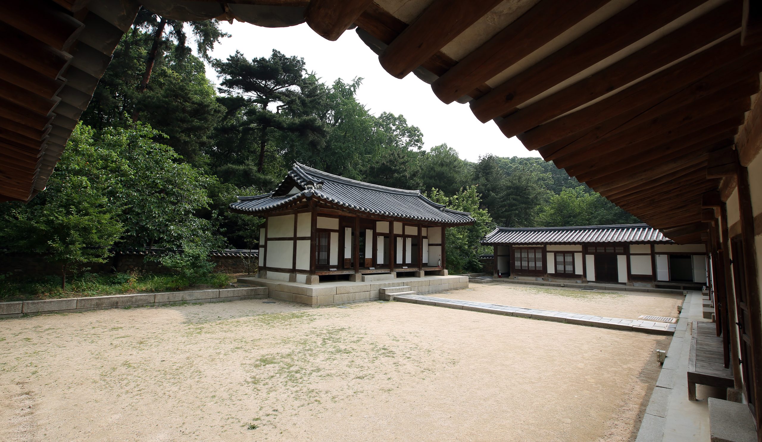 Traditional hanok buildings among pine trees at Seonjeongneung
