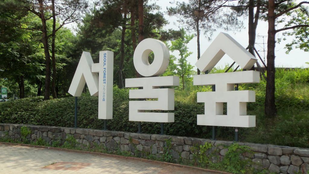 Scenic view of Seoul Forest park in Seongsu, Seoul