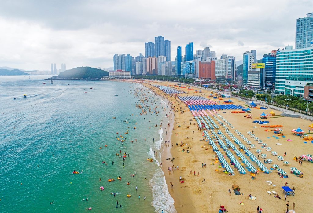 Aerial view of Haeundae Beach in Busan with rows of parasols and the city skyline