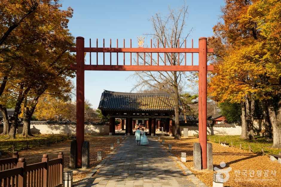 Visitors in hanbok at Jeonju Hyanggyo with autumn ginkgo leaves