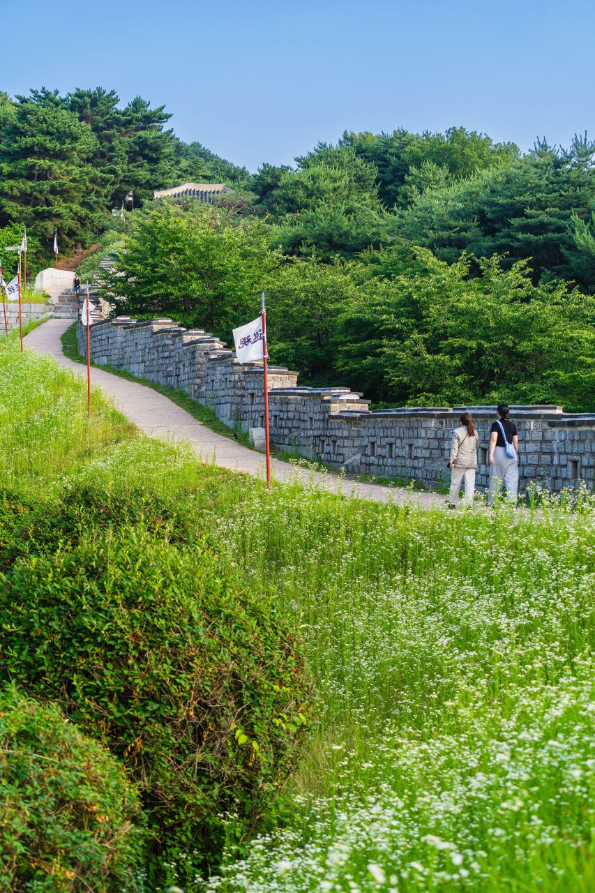 Walkers on the stone ramparts of Hwaseong Fortress in Suwon