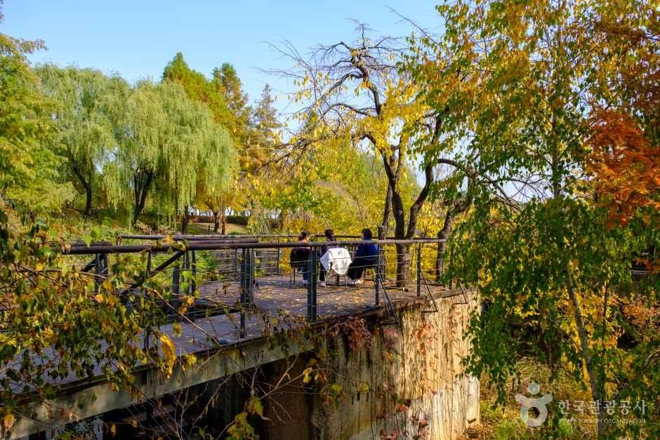 Viewing deck on old concrete basins framed by autumn foliage at Seonyudo Park, Seoul