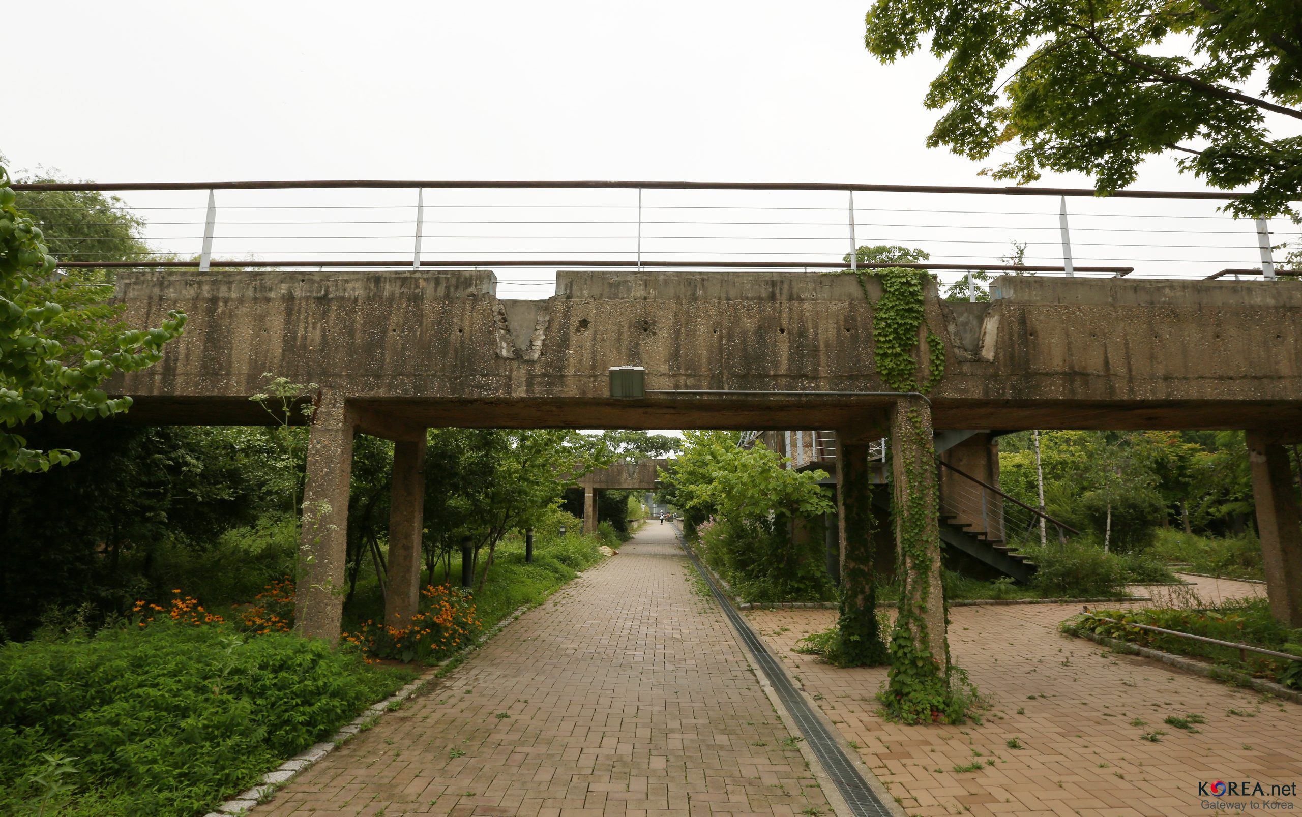Ivy-covered old water-plant structures over a garden path at Seonyudo Park, Seoul