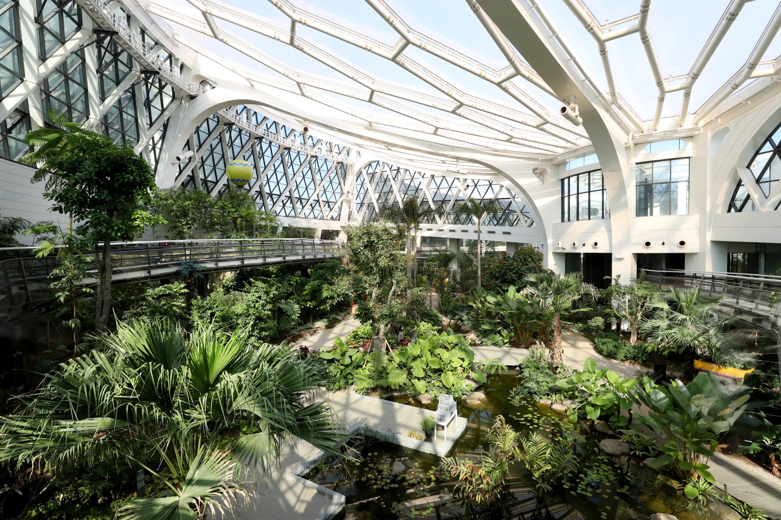 Skywalk above the tropical zone in the Seoul Botanic Park greenhouse
