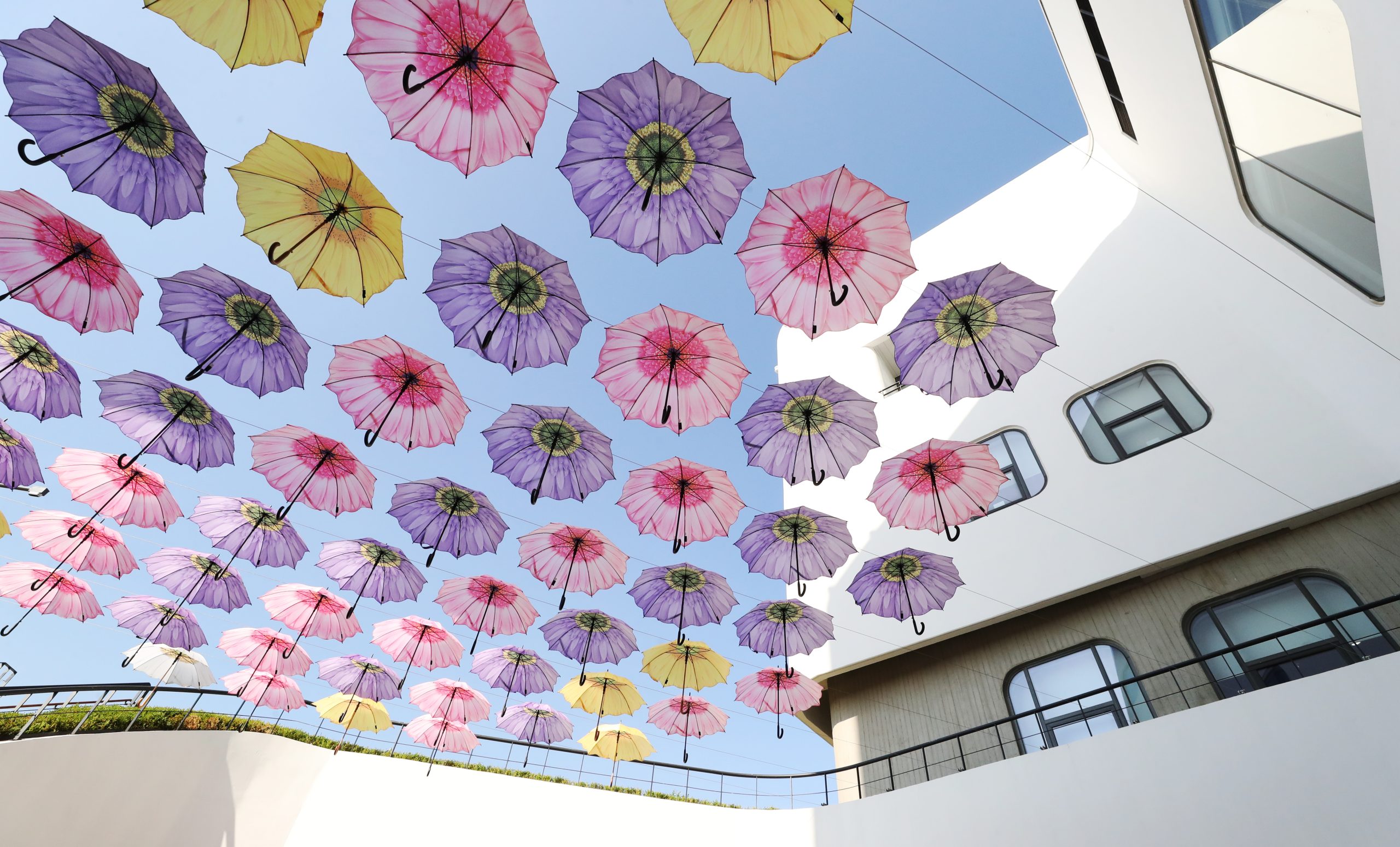 Canopy of flower-print parasols by the Seoul Botanic Park greenhouse