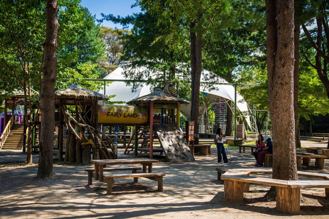 Dirt paths and a wooded picnic clearing on Nami Island