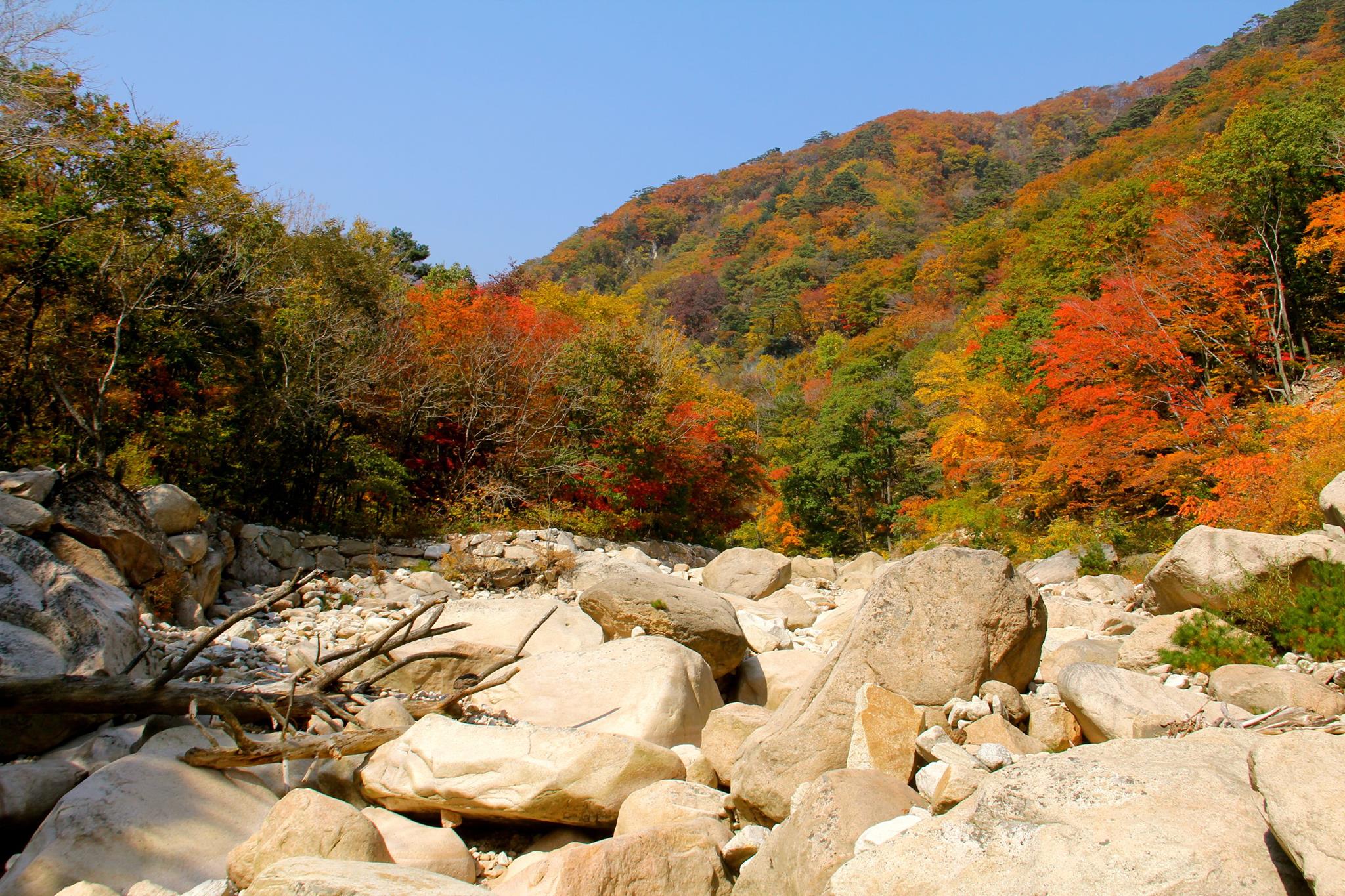 Autumn foliage over a boulder-filled valley in Seoraksan National Park
