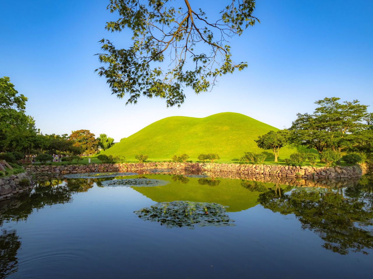 Daereungwon tomb mound reflected in a lotus pond