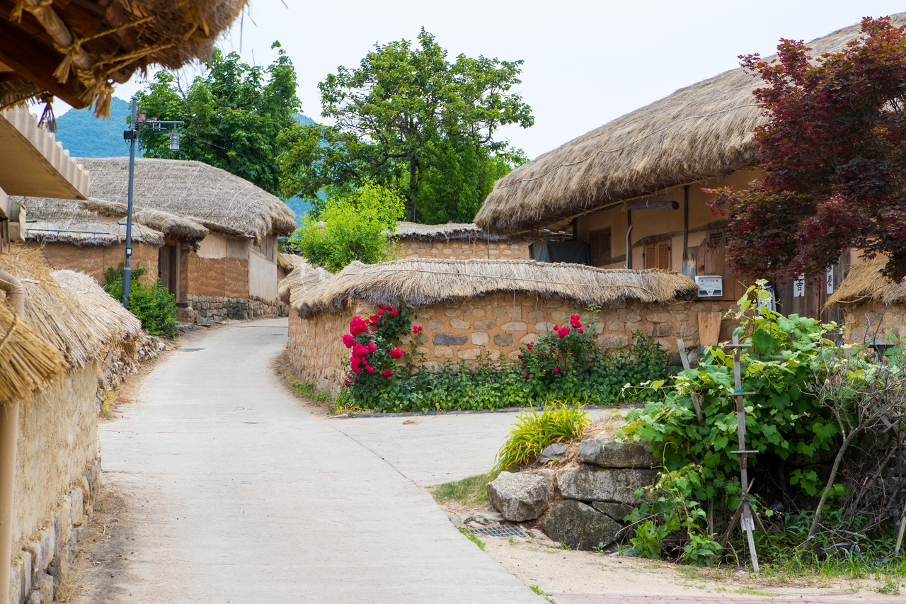 Earthen-walled lane between thatched houses in Hahoe Folk Village