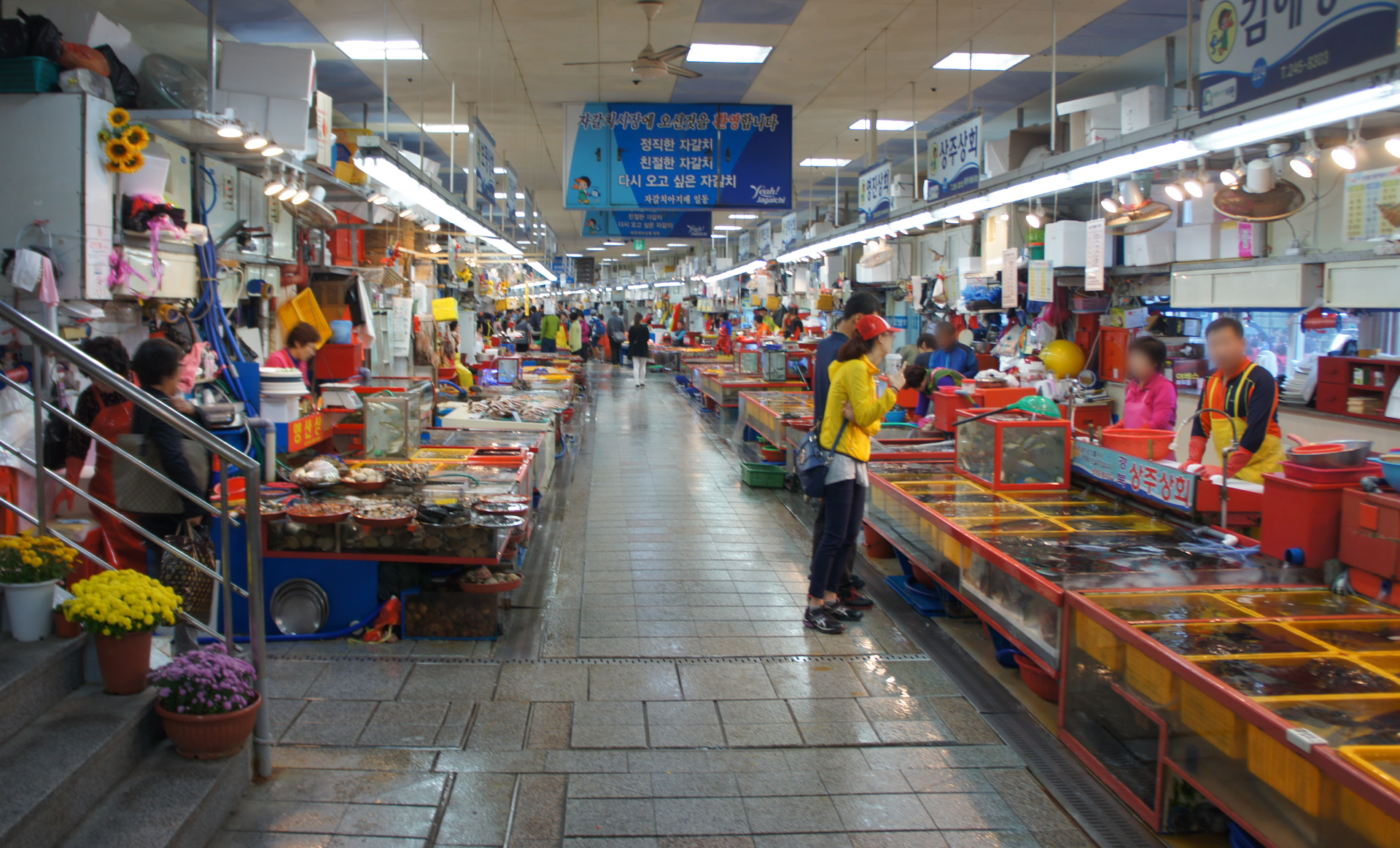 Aisle of live seafood tanks inside the Jagalchi Market building